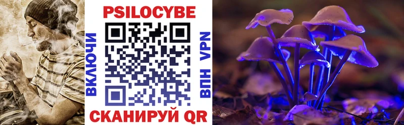 Купить  Кстово  Галлюциногенные грибы мицелий 